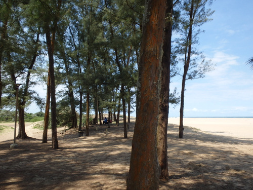 We're out of the estuary and onto the main ocean beach.